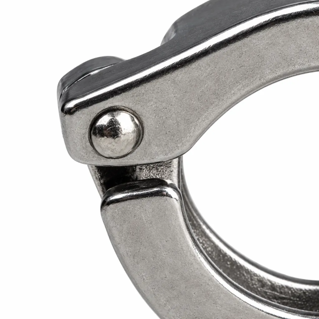 Polished-left-clamp-hinge-detail--dd2c8a1e.webp